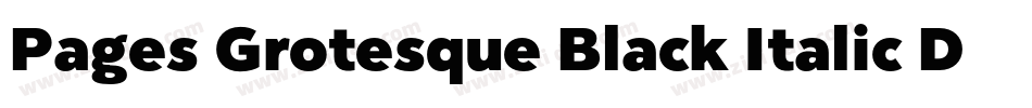 Pages Grotesque Black Italic Demo字体转换
